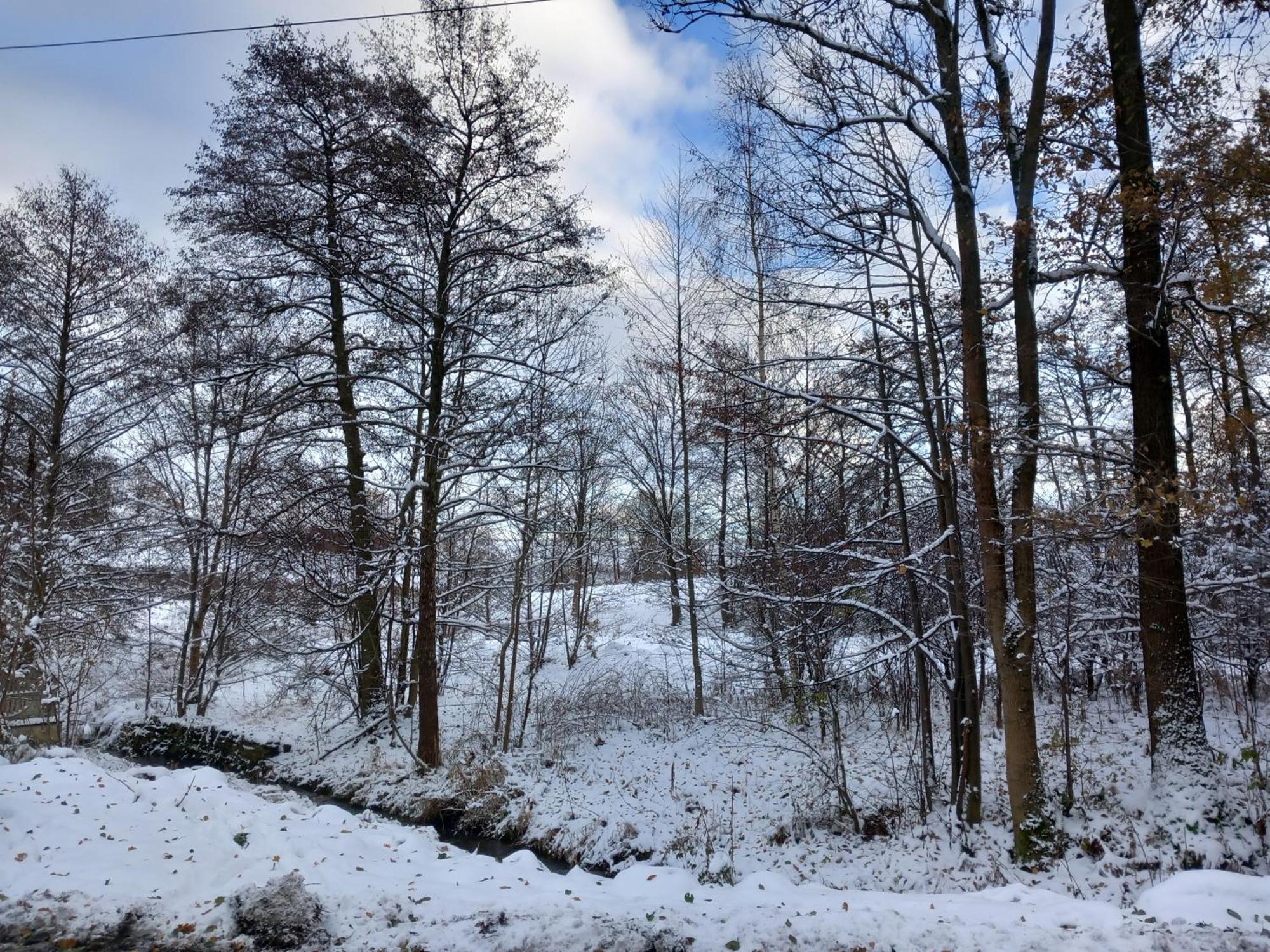 Szewska Pasja Agroturystyka Wiejska Lesna  Exterior photo